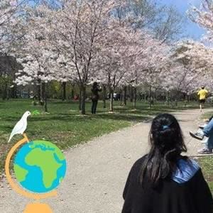 Meet your Posher, Sara